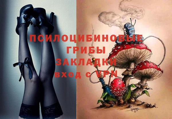 первитин Алексеевка