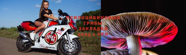 ешки Абаза