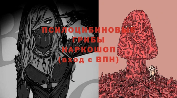 ешки Абаза