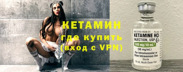 гашик Алексин