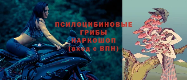ешки Абаза