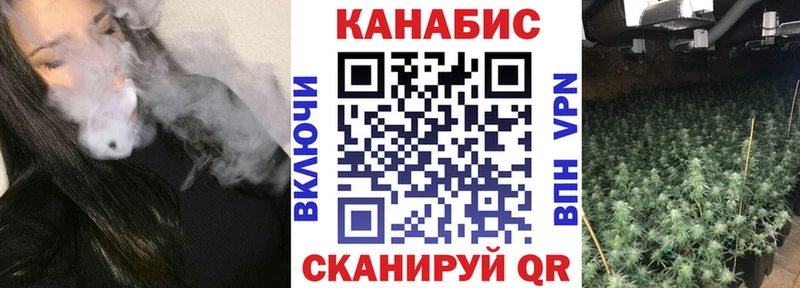 Бошки Шишки индика  наркота  Грайворон 